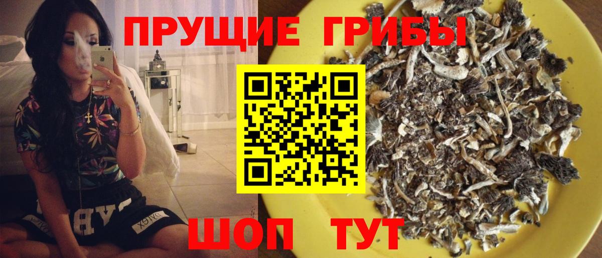 Петропавловск-Камчатский  купить   Вход с VPN  Галлюциногенные грибы Magic Shrooms 