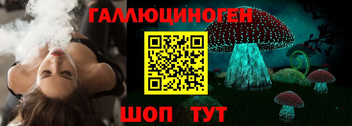 Галлюциногенные грибы мухоморы Петропавловск-Камчатский